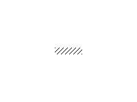 校园开放日